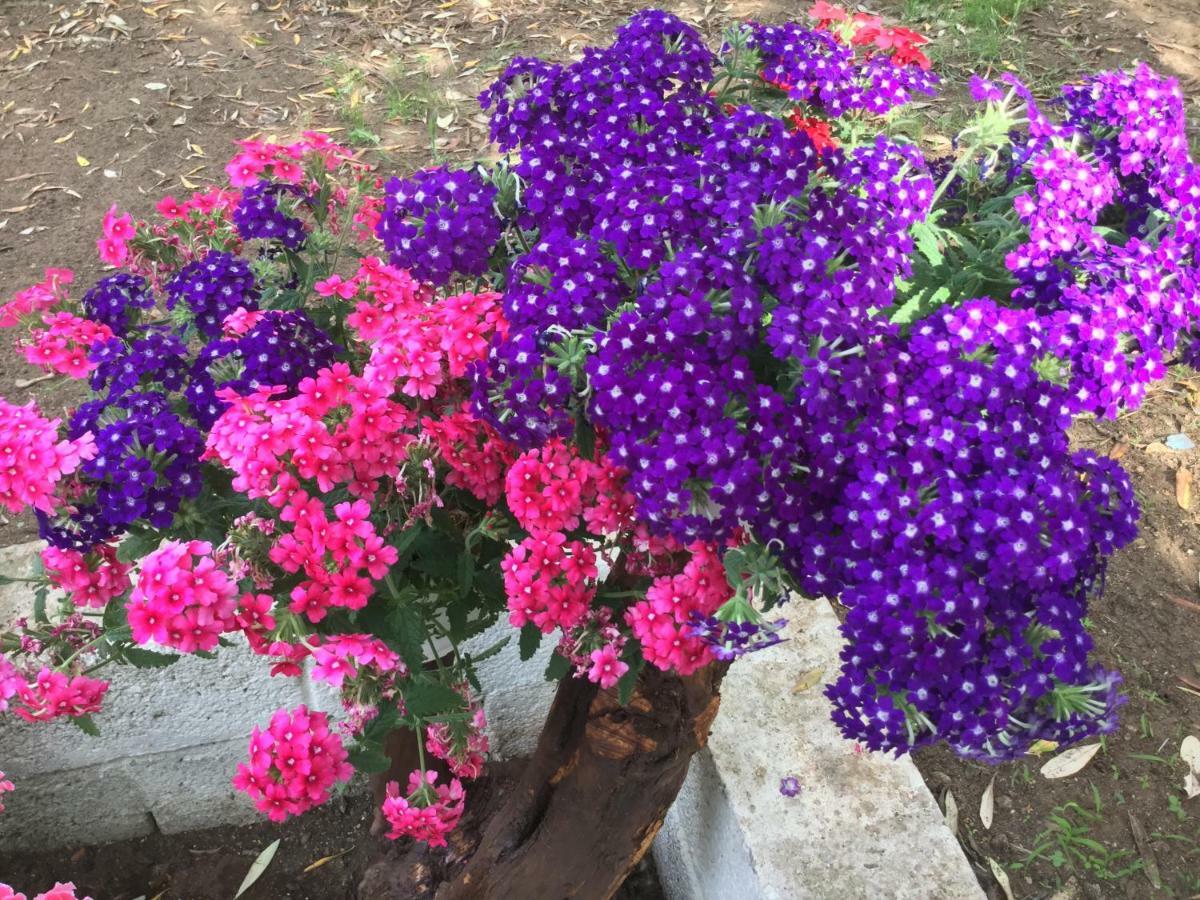 Kritiri House Villa Skála Kallirákhis Dış mekan fotoğraf