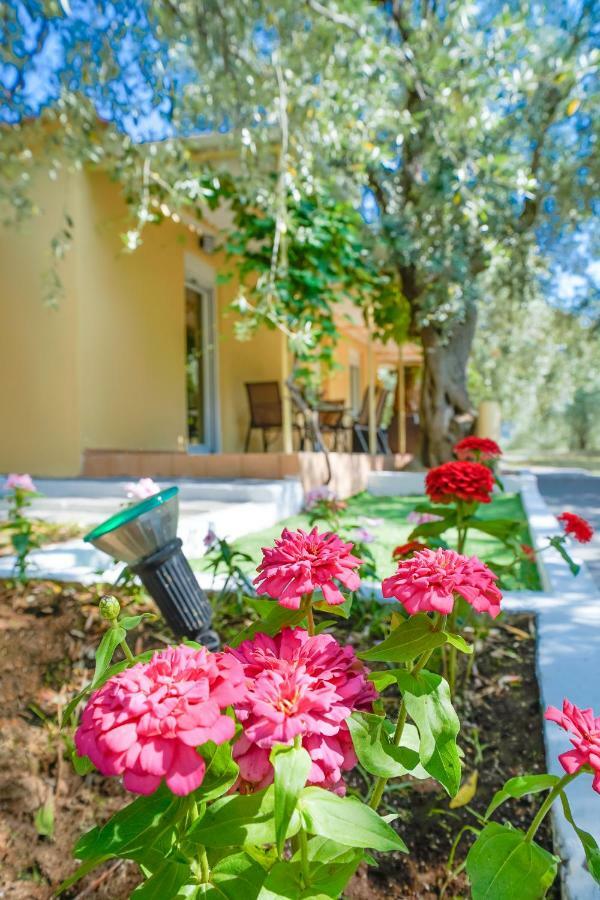 Kritiri House Villa Skála Kallirákhis Dış mekan fotoğraf
